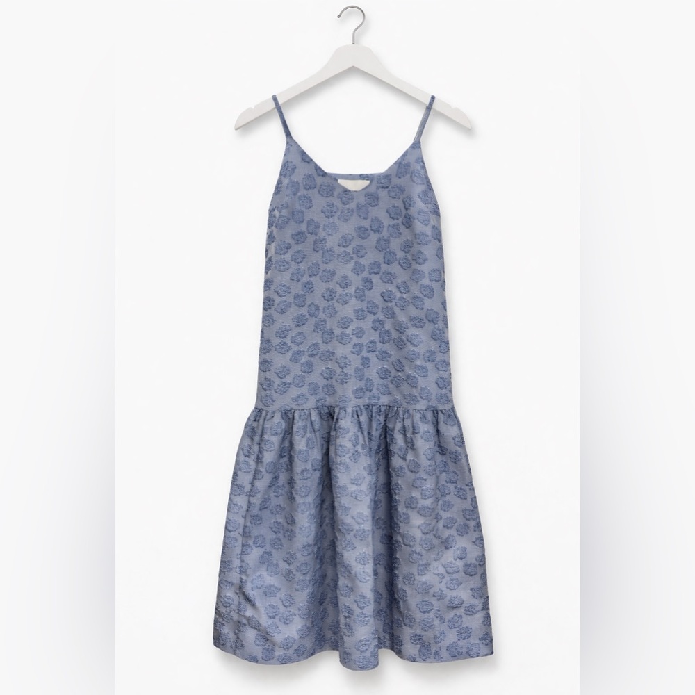 Co Collection Sleeveless Blue Floral-Print Maxi Dress